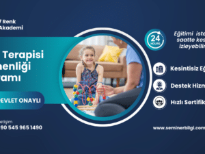 Oyun Terapisi Eğitmenliği