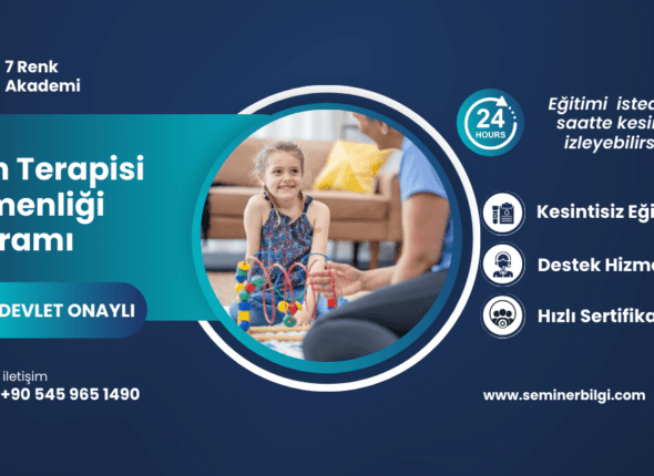 Oyun Terapisi Eğitmenliği