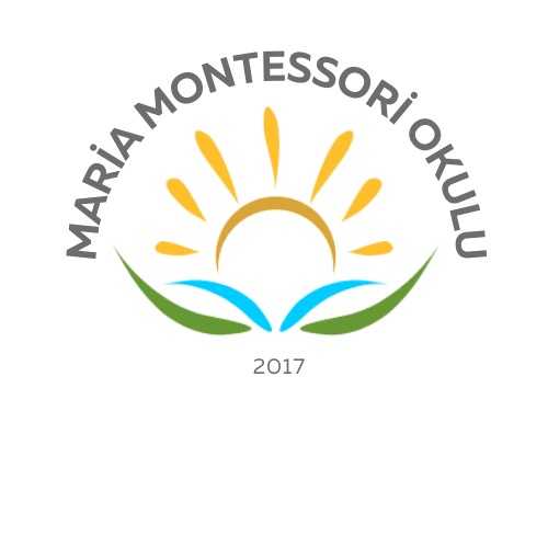 Mavi Ve Turuncu Banner Basketbol Logo